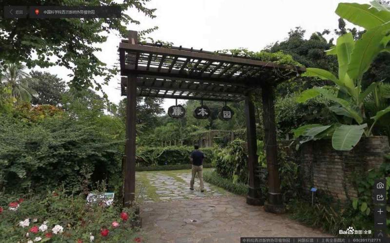 云南省中科院西双版纳热带植物园傣族特色花架5772 帖子ID:2260-木图网-木结构之家 www.woodpic.cn