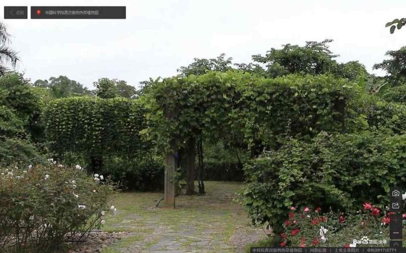 云南省中科院西双版纳热带植物园傣族特色花架1854 帖子ID:2260-木图网-木结构之家 www.woodpic.cn