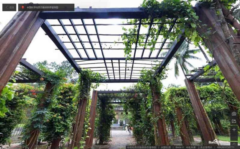 云南省中科院西双版纳热带植物园傣族特色花架7596 帖子ID:2260-木图网-木结构之家 www.woodpic.cn