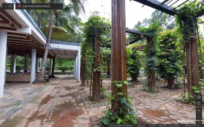 云南省中科院西双版纳热带植物园傣族特色花架9874 帖子ID:2260-木图网-木结构之家 www.woodpic.cn