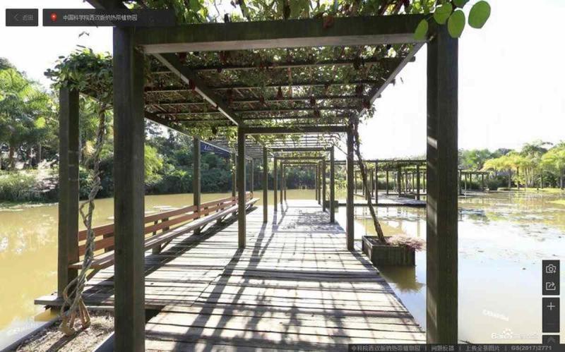 云南省中科院西双版纳热带植物园傣族特色花架7371 帖子ID:2260-木图网-木结构之家 www.woodpic.cn