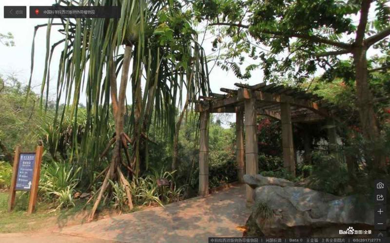 云南省中科院西双版纳热带植物园傣族特色花架6691 帖子ID:2260-木图网-木结构之家 www.woodpic.cn