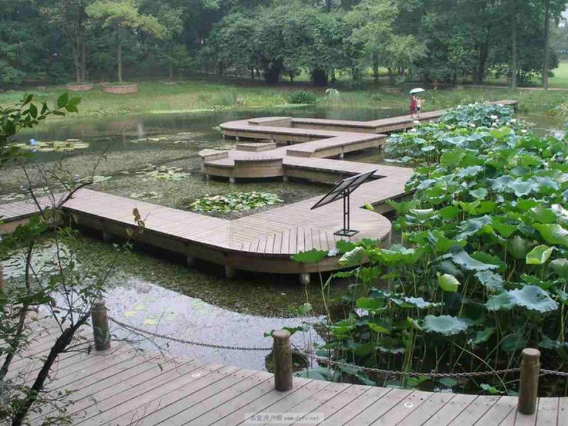 防腐木平台欣赏三十5725 帖子ID:2402-木图网-木结构之家 www.woodpic.cn