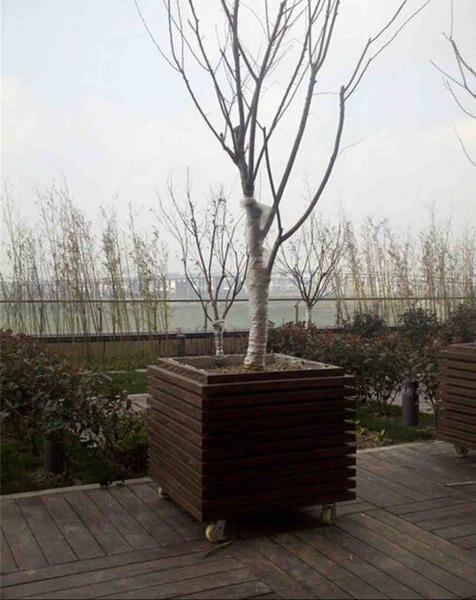 防腐木树池欣赏九119 帖子ID:2526-木图网-木结构之家 www.woodpic.cn