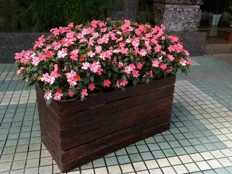 防腐木花箱欣赏二七5253 帖子ID:2439-木图网-木结构之家 www.woodpic.cn