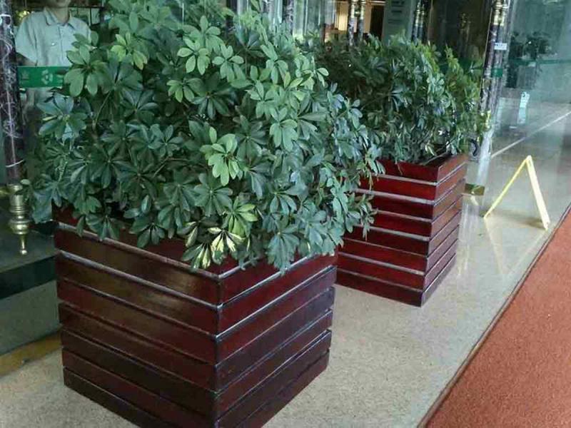 防腐木花箱欣赏二七3619 帖子ID:2439-木图网-木结构之家 www.woodpic.cn