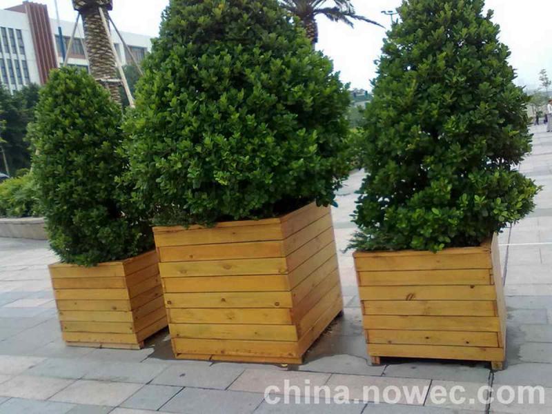 防腐木花箱欣赏二七8155 帖子ID:2439-木图网-木结构之家 www.woodpic.cn