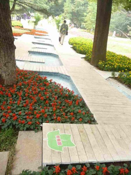 防腐木栈道欣赏五2016 帖子ID:2632-木图网-木结构之家 www.woodpic.cn