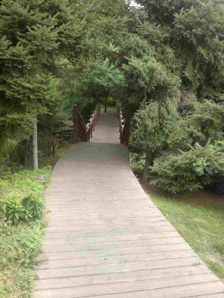 防腐木栈道欣赏六6015 帖子ID:2633-木图网-木结构之家 www.woodpic.cn