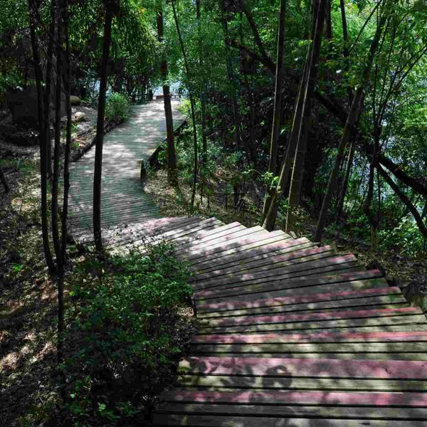 防腐木栈道欣赏六4199 帖子ID:2633-木图网-木结构之家 www.woodpic.cn