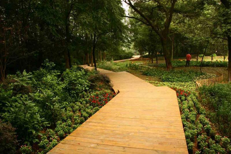 防腐木栈道欣赏八5992 帖子ID:2635-木图网-木结构之家 www.woodpic.cn