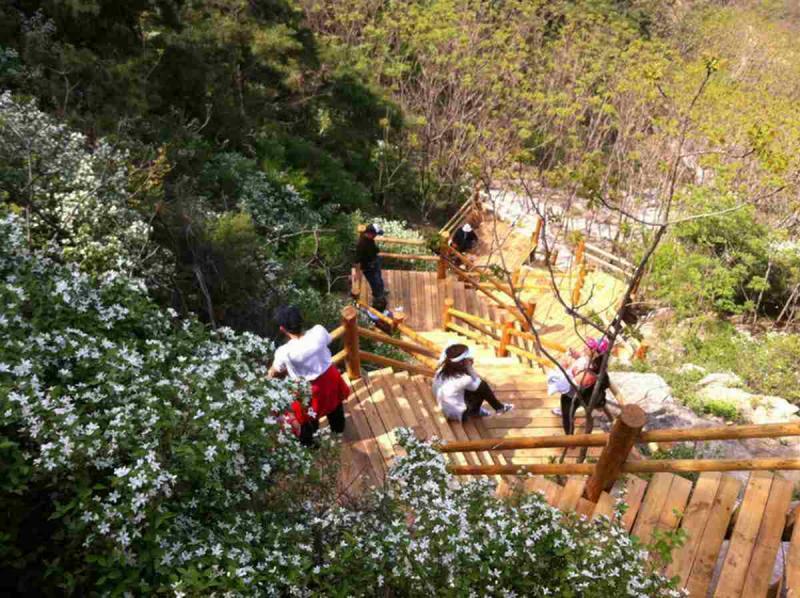 防腐木栈道欣赏十二9537 帖子ID:2639-木图网-木结构之家 www.woodpic.cn