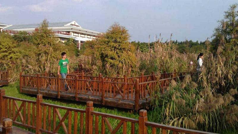 防腐木栈道欣赏十五2198 帖子ID:2642-木图网-木结构之家 www.woodpic.cn