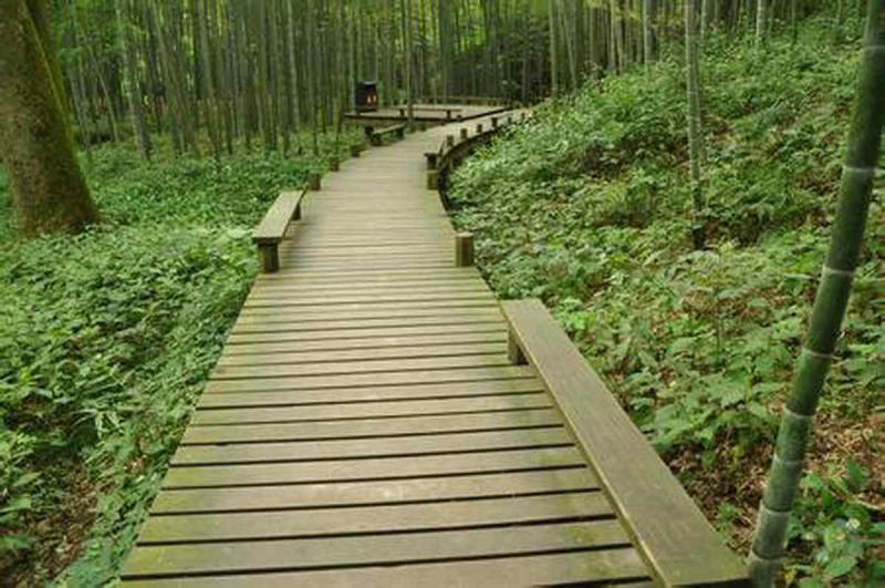 防腐木栈道欣赏十九7007 帖子ID:2646-木图网-木结构之家 www.woodpic.cn
