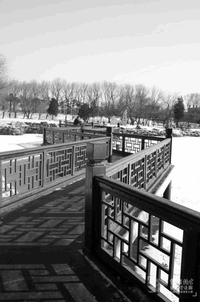 防腐木栏杆欣赏四十二7817 帖子ID:2832-木图网-木结构之家 www.woodpic.cn