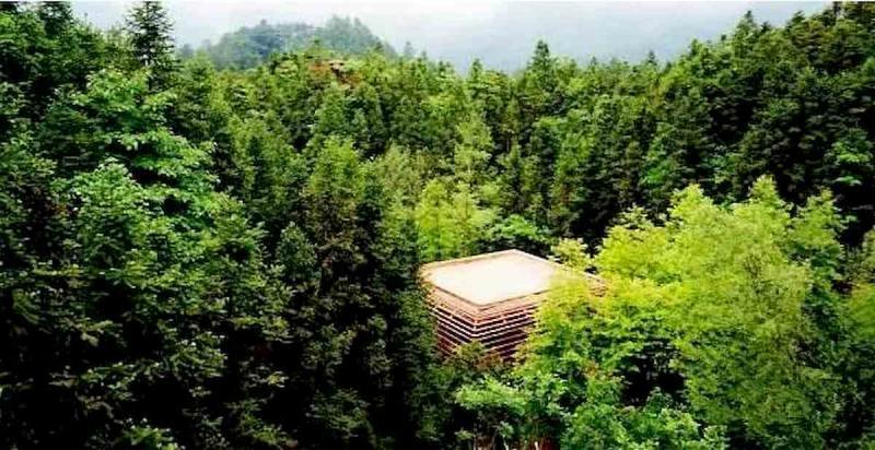 神秘可爱的树屋8454 帖子ID:2953-木图网-木结构之家 www.woodpic.cn