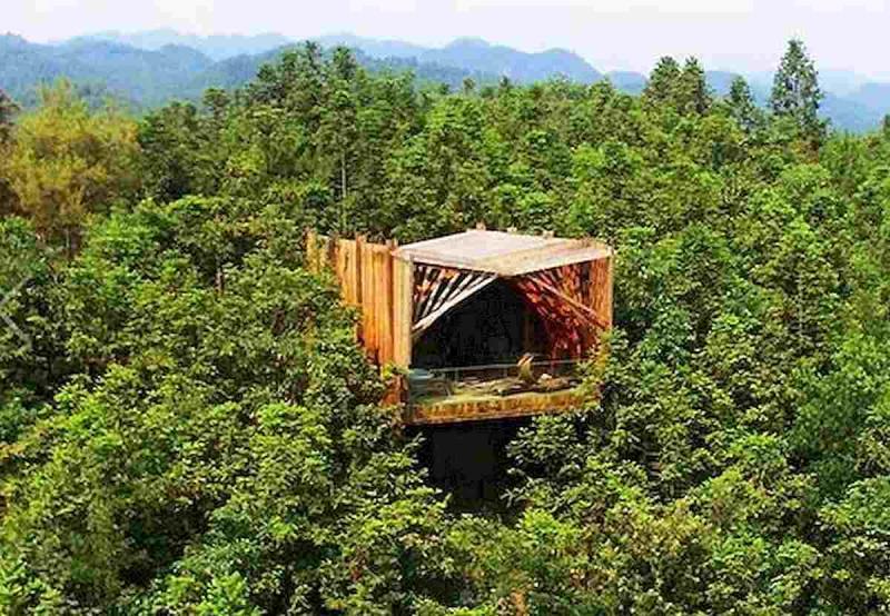 神秘可爱的树屋20 帖子ID:2953-木图网-木结构之家 www.woodpic.cn