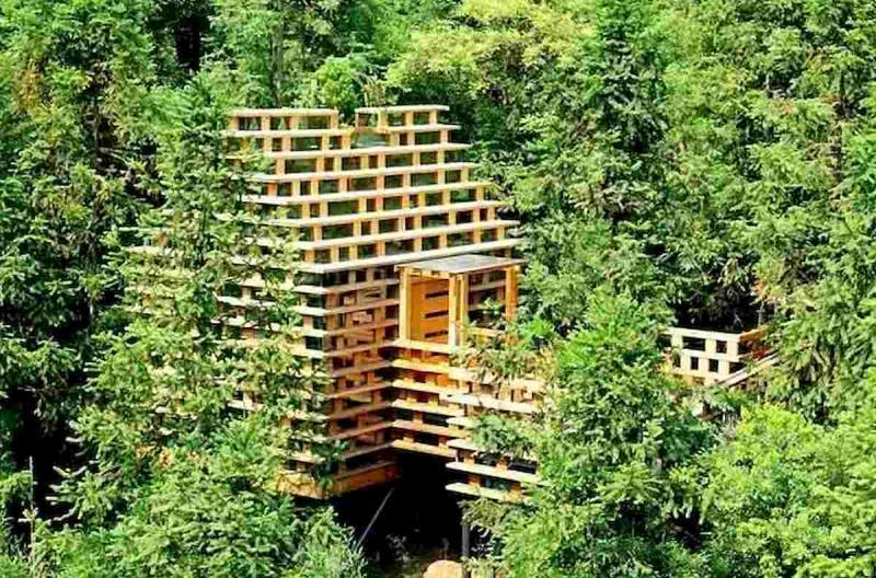 神秘可爱的树屋5846 帖子ID:2953-木图网-木结构之家 www.woodpic.cn