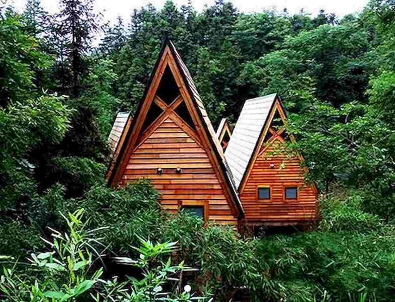 神秘可爱的树屋9874 帖子ID:2953-木图网-木结构之家 www.woodpic.cn