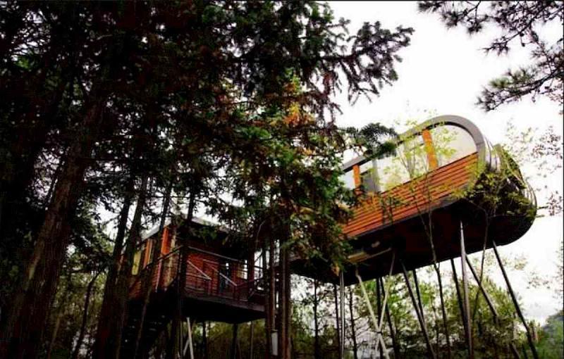 神秘可爱的树屋2406 帖子ID:2953-木图网-木结构之家 www.woodpic.cn