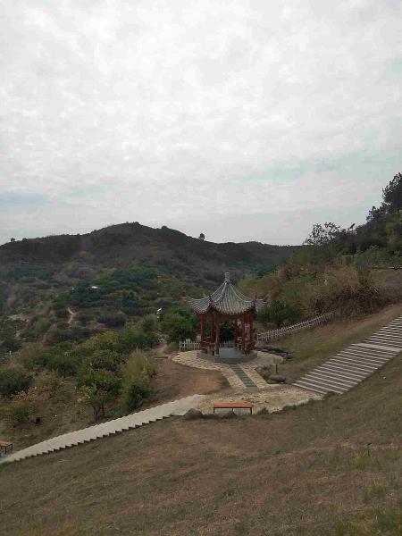 江西南丰县观必上乐园仿古景观亭8098 帖子ID:2969-木图网-木结构之家 www.woodpic.cn