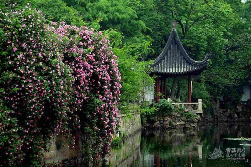 贵州遵义的袁氏古民居5735 帖子ID:2979-木图网-木结构之家 www.woodpic.cn