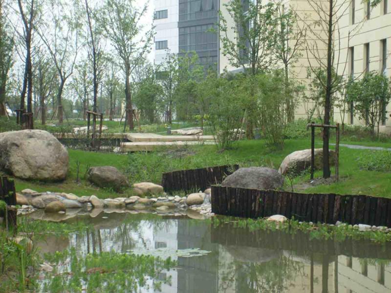 防腐木桩欣赏一5711 帖子ID:2886-木图网-木结构之家 www.woodpic.cn