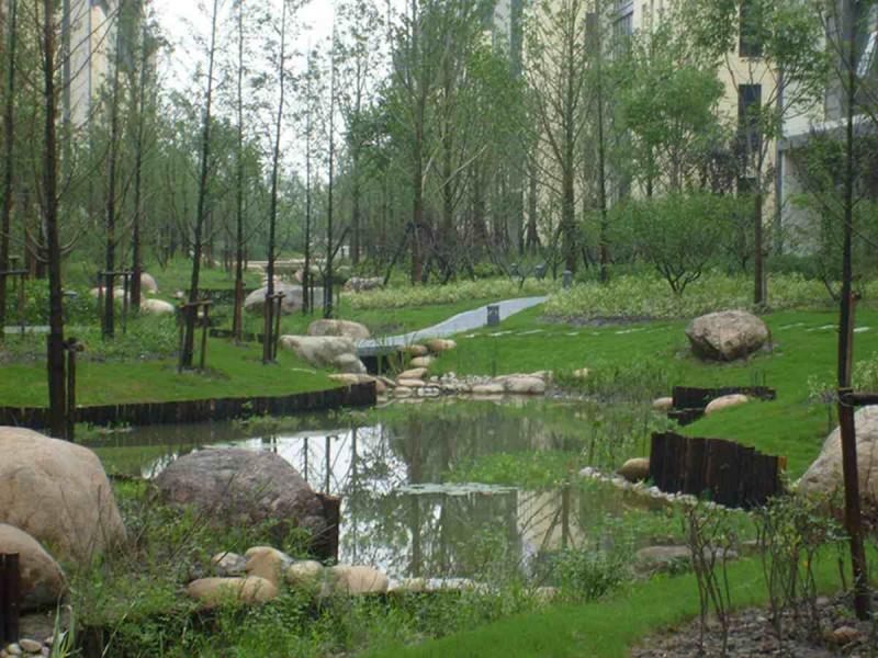 防腐木桩欣赏一5390 帖子ID:2886-木图网-木结构之家 www.woodpic.cn