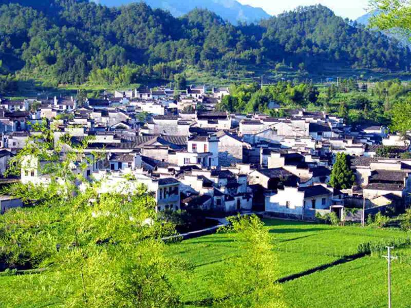 中国民居之西递8181 帖子ID:2986-木图网-木结构之家 www.woodpic.cn