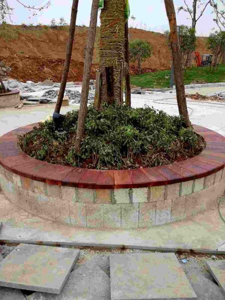 葛店高铁站木结构组图4229 帖子ID:2987-木图网-木结构之家 www.woodpic.cn