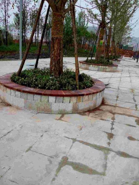 葛店高铁站木结构组图955 帖子ID:2987-木图网-木结构之家 www.woodpic.cn