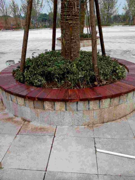 葛店高铁站木结构组图6620 帖子ID:2987-木图网-木结构之家 www.woodpic.cn