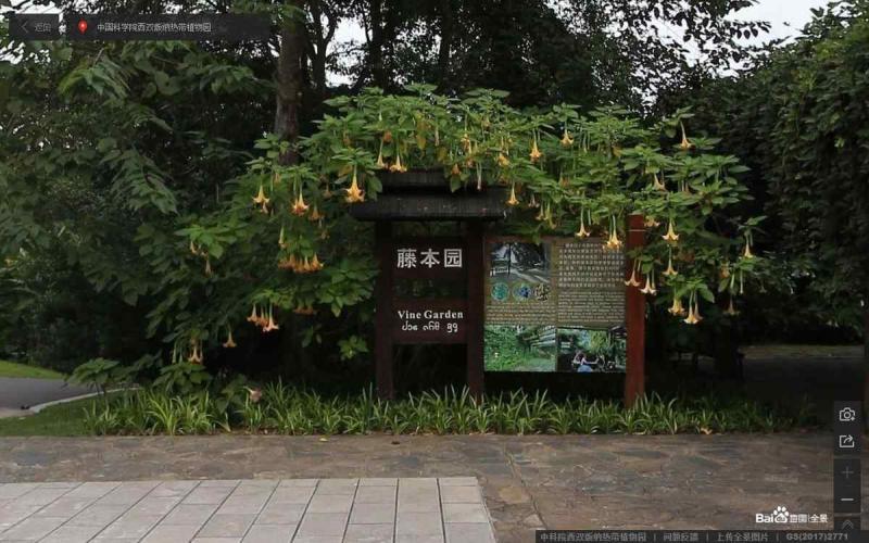云南省中科院西双版纳热带植物园宣传栏6031 帖子ID:3190-木图网-木结构之家 www.woodpic.cn