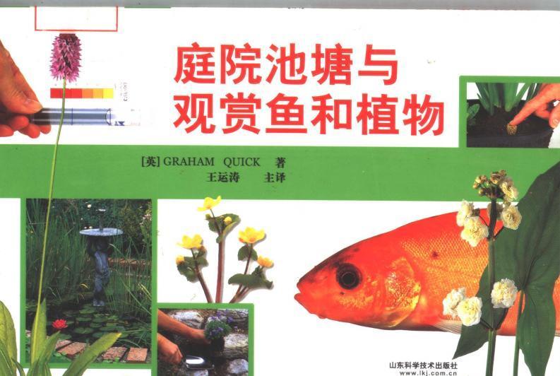 庭院池塘与观赏鱼和植物5180 帖子ID:5274-木图网-木结构之家 www.woodpic.cn