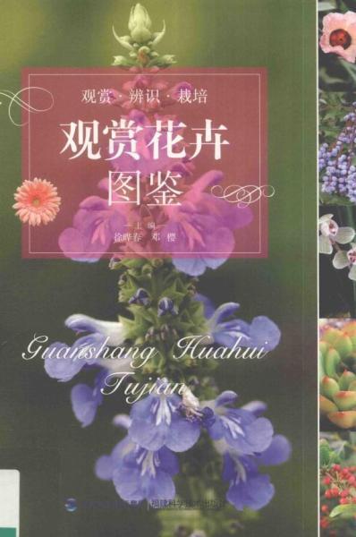 观赏花卉图鉴8510 帖子ID:4799-木图网-木结构之家 www.woodpic.cn