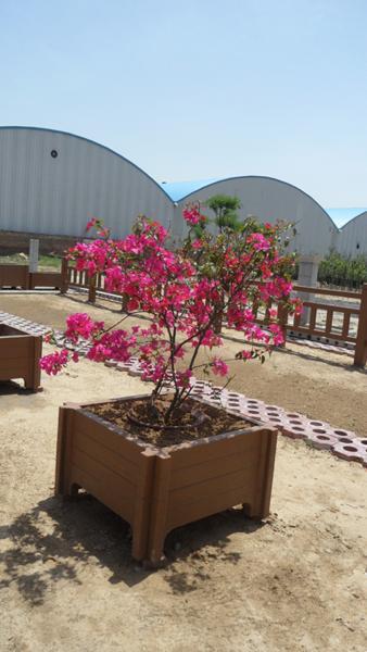 叠形防腐木花箱3332 帖子ID:934-木图网-木结构之家 www.woodpic.cn