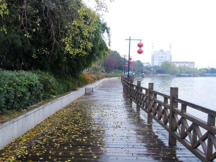 防腐木米字型木栏杆6302 帖子ID:963-木图网-木结构之家 www.woodpic.cn