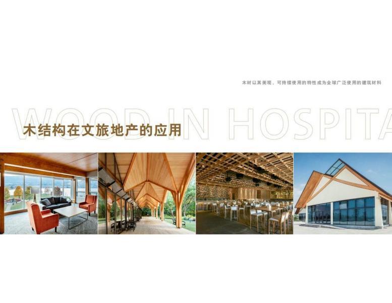 木结构在文旅地产的应用8135 帖子ID:9110-木图网-木结构之家 www.woodpic.cn