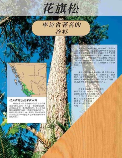 加拿大花旗松树种介绍2676 帖子ID:9070-木图网-木结构之家 www.woodpic.cn