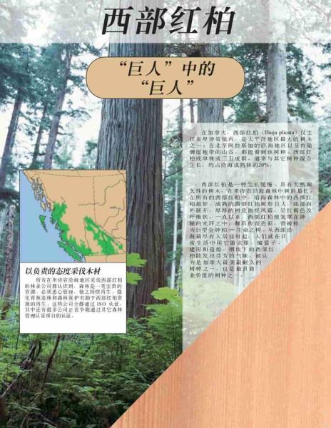 加拿大西部红柏介绍4413 帖子ID:9076-木图网-木结构之家 www.woodpic.cn