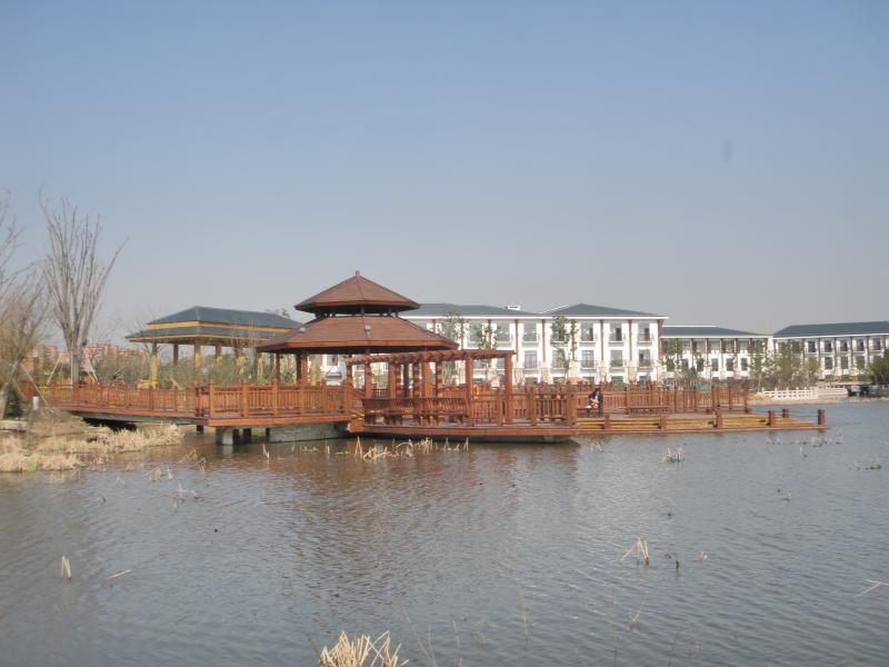 户外防腐木八角亭2642 帖子ID:983-木图网-木结构之家 www.woodpic.cn