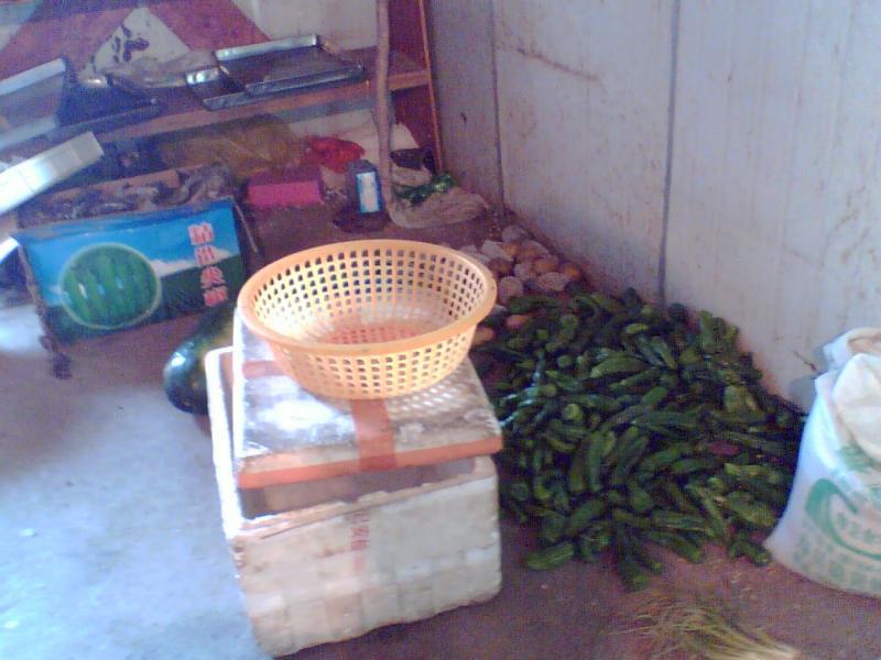 实践是检验真理的最好方法...7769 帖子ID:1164-木图网-木结构之家 www.woodpic.cn