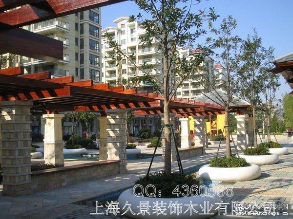 户外防腐木花架欣赏[含部分公司工程案例]3864 帖子ID:1169-木图网-木结构之家 www.woodpic.cn