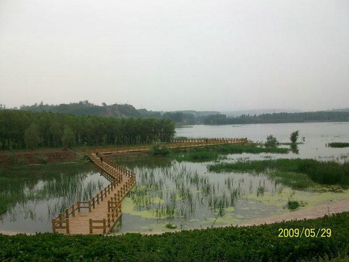 木桥欣赏二零二五八6267 帖子ID:1222-木图网-木结构之家 www.woodpic.cn