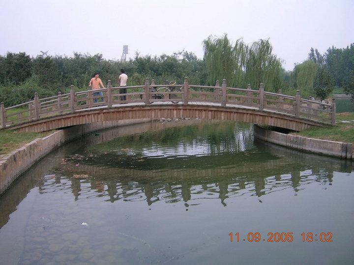 木桥欣赏二零二五十一5253 帖子ID:1225-木图网-木结构之家 www.woodpic.cn