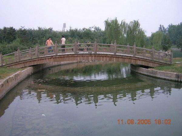 木桥欣赏二零二五五2443 帖子ID:1219-木图网-木结构之家 www.woodpic.cn