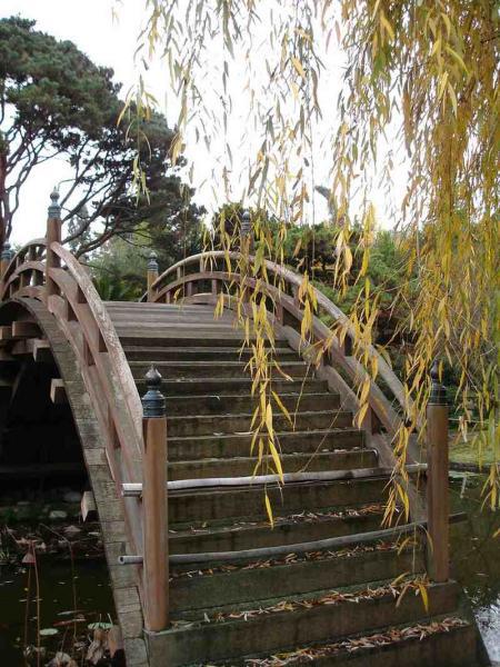 木桥欣赏二零二五十八8916 帖子ID:1232-木图网-木结构之家 www.woodpic.cn