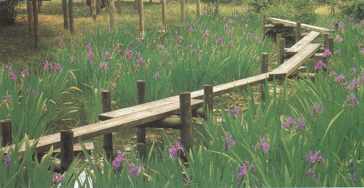 木桥欣赏二零二五十五5246 帖子ID:1229-木图网-木结构之家 www.woodpic.cn