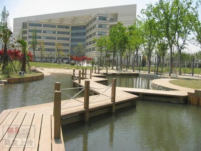 木桥欣赏二零二五十六2461 帖子ID:1230-木图网-木结构之家 www.woodpic.cn