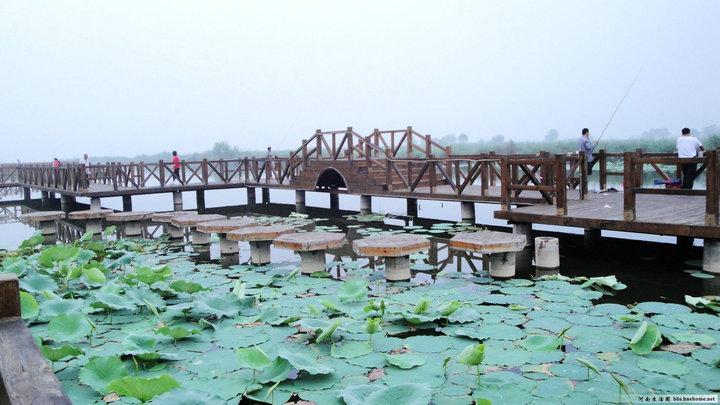 木桥欣赏二零二五十六3398 帖子ID:1230-木图网-木结构之家 www.woodpic.cn